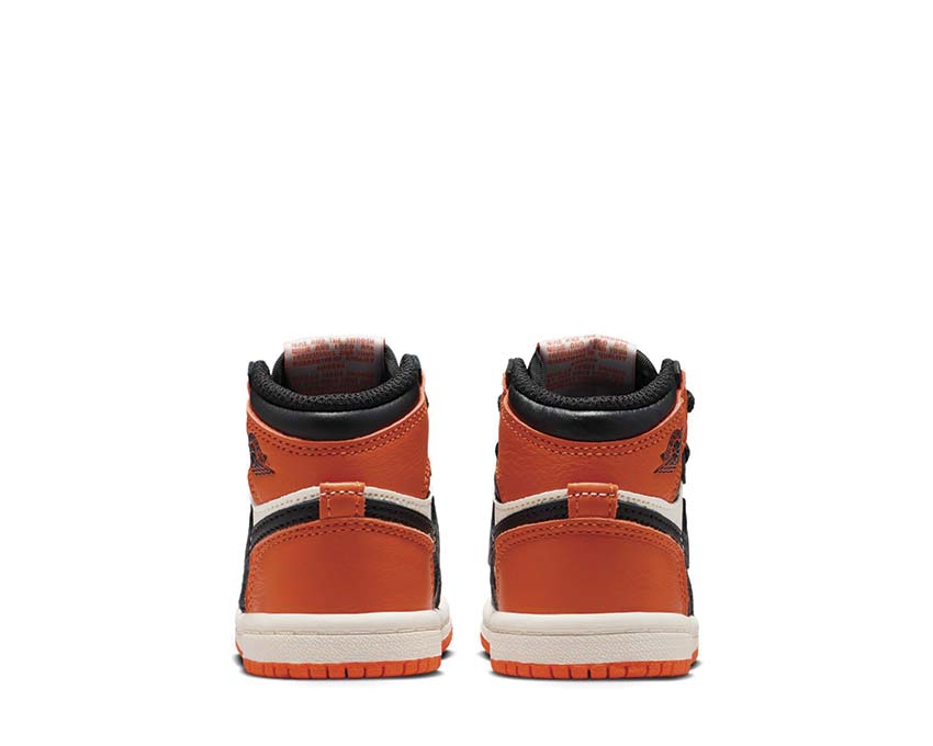Air Jordan 1 Retro High OG TD "Shattered Backboard"